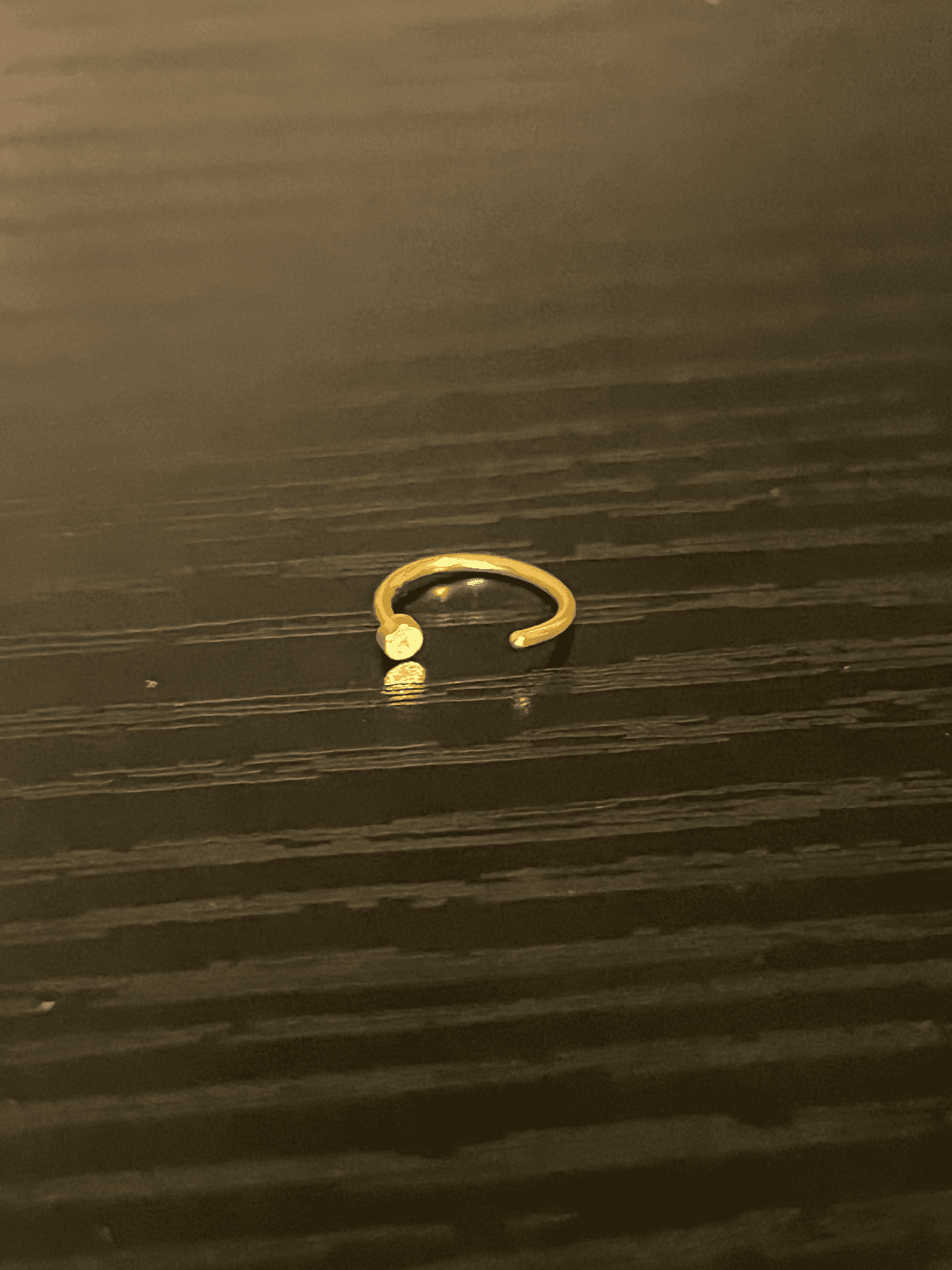 Circular nose ring