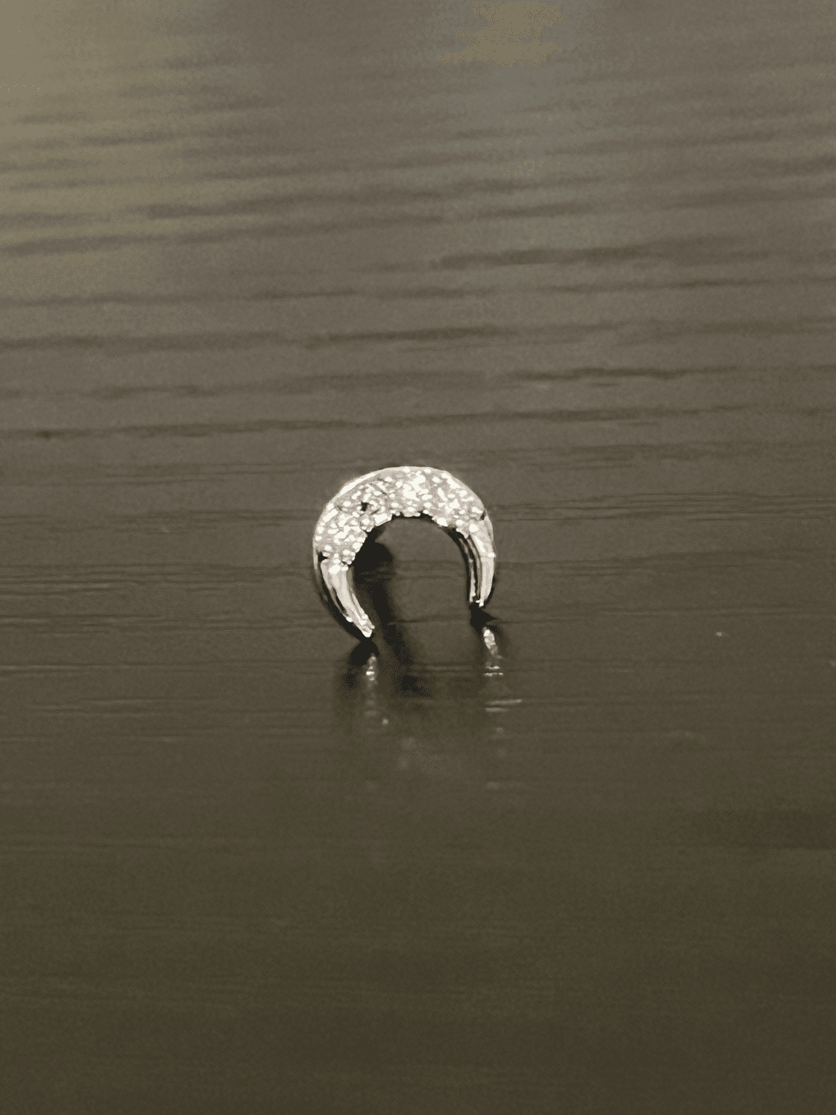 Moon ear stud