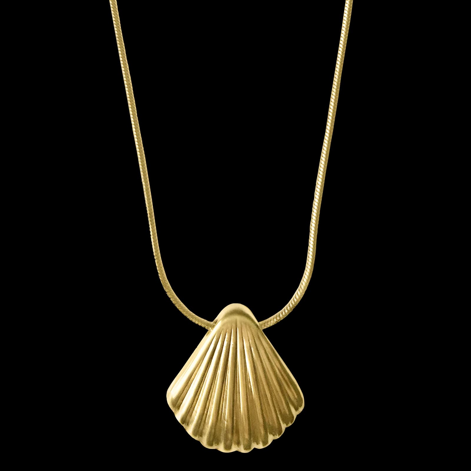 Seashell Necklace